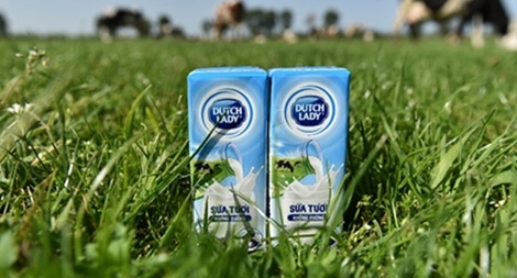 Diện tích mỗi nông trại của nông dân cô gái Hà Lan bằng 140 sân vận động