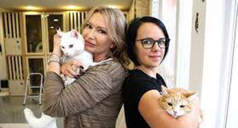 Khách sạn 5 sao dành cho mèo