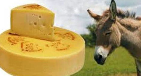 Phô mai cực đắt