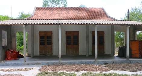 Hệ lụy khó lường từ việc gom cây trầm gió bán cho thương lái