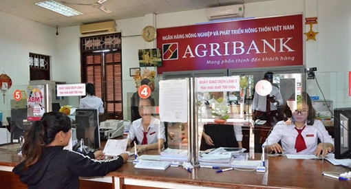 Agribank dành nguồn vốn tập trung phát triển sản xuất, kinh doanh