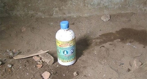 Nghi án giết bạn gái vì ghen rồi uống thuốc diệt cỏ tự tử