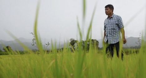 Vụ án viên kim cương xanh bí ẩn