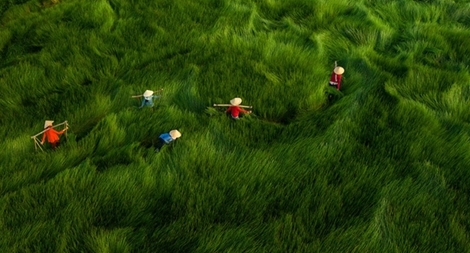 Thương như giữa đất và người