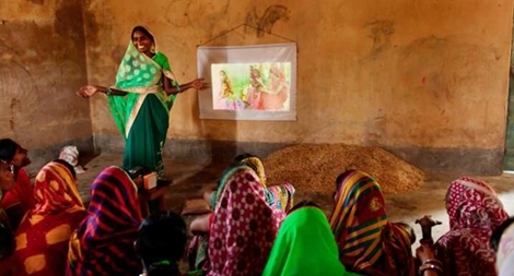 Công nghệ giúp nông dân Ấn Độ nuôi sống hơn 1 tỉ người