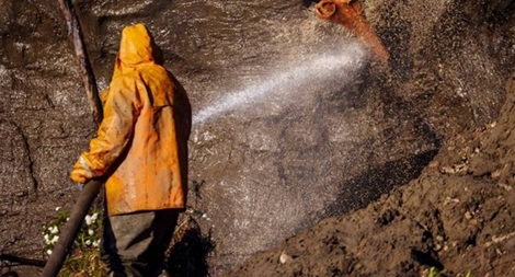 Mặt trái của chợ đen ngà voi tuyệt chủng