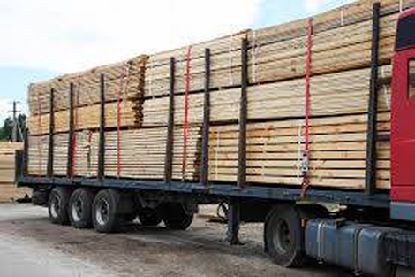 Romania cấm xuất khẩu gỗ bên ngoài EU