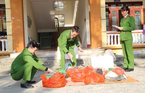 Thu giữ gần 2 tạ nội tạng trâu, bò không rõ nguồn gốc