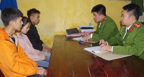 4 thanh thiếu niên trộm cả đàn bồ câu để thịt và bán lấy tiền xài