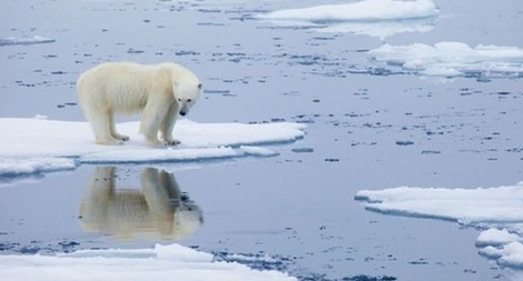 Băng tan ở Bắc Cực  Điềm gở cho tương lai Trái Đất  baotintucvn
