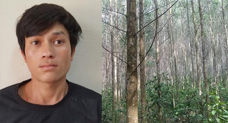 Khởi tố kẻ hiếp dâm bé gái 7 tuổi ở rừng keo