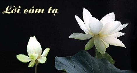 Lời cảm ơn