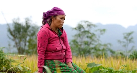 Những thách thức của nạn buôn bán cô dâu ở châu Á