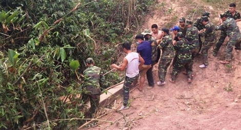  9m³ gỗ được cất giấu rải rác cạnh bìa rừng