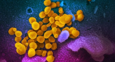 Tình báo và công nghệ trong cuộc chiến chống COVID-19