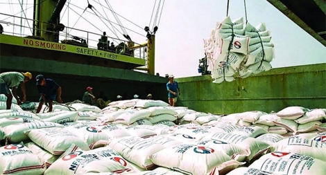 Kiến nghị hủy toàn bộ tờ khai khống, khai giữ chỗ để xuất khẩu gạo