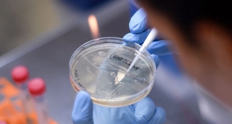 Con đường tìm vaccine trị COVID-19: Trở ngại thiếu tiền