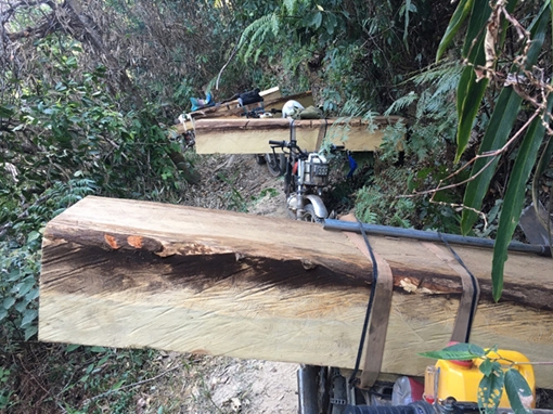 Kon Tum chỉ đạo “khẩn” điều tra, xác minh phản ánh phá rừng quy mô lớn