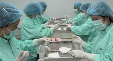 Triển vọng vaccine COVID-19 "made in Vietnam"