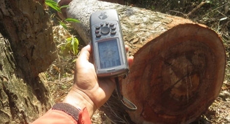 Cuộc chiến chống mafia gỗ ở Campuchia