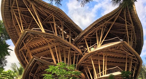 Biệt thự tre lớn nhất thế giới
