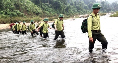 Tăng cường các biện pháp giữ rừng