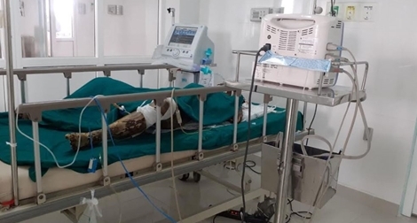 Xác định nguyên nhân vụ cháy khiến nữ gia chủ và kẻ phóng hỏa tử vong