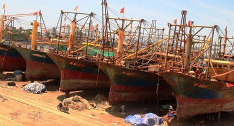 Nhiều chủ tàu cá ở Bình Định “treo nợ” quá hạn hàng trăm tỷ đồng