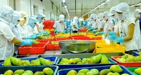 6 tháng đầu năm, xuất siêu nông sản đạt 4,5 tỷ USD