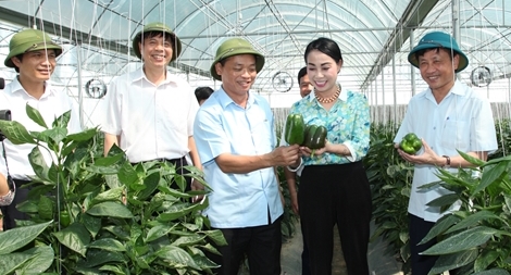 Vĩnh Phúc: Kịp thời vào cuộc cùng doanh nghiệp vượt khó