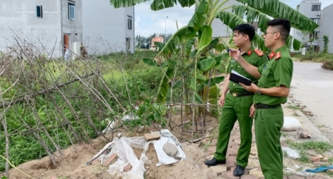 Cảnh giác với chiêu lừa bán "vịt giời"
