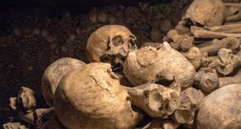 Thị trường kinh dị bất hợp pháp trên mạng xã hội