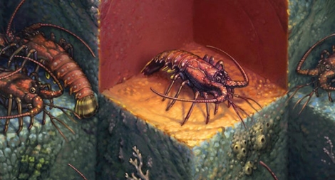 Động vật cũng "giãn cách xã hội" để phòng bệnh