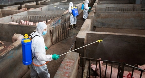 Trung Quốc: Tội phạm tung tin thất thiệt để trục lợi