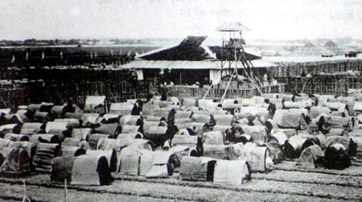 Cậu bụng trự không bằng mự bụng lòng