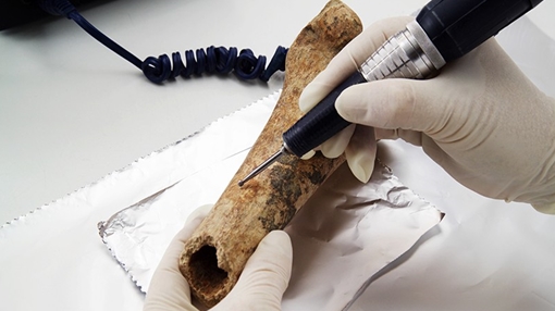 Đồng hồ phóng xạ carbon