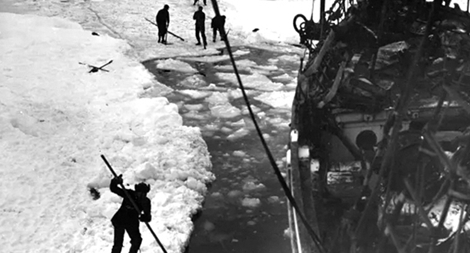 Chuyến đi huyền thoại đến Nam Cực