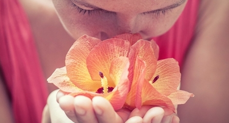 Bộ não cũng có... mũi