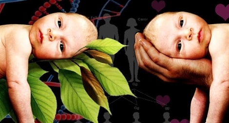 Tự do hay tất định