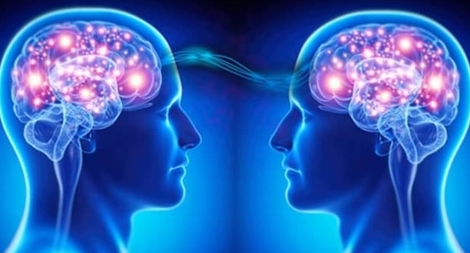 Cần cù như não bộ