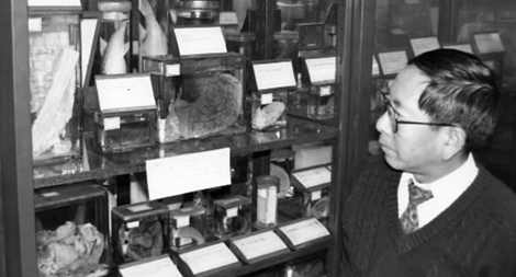 Chuyện kỳ bí về các mảnh thi thể nạn nhân ở Hiroshima