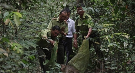  Hơn 28 tỷ đồng cho bảo tồn các loài động vật, thực vật quý hiếm