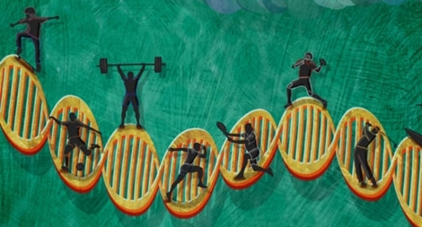 Thiên tài trong gene: Sức bền hay sức mạnh?
