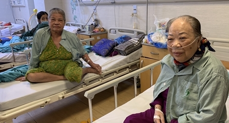 Báo động tình trạng mức sinh xuống thấp