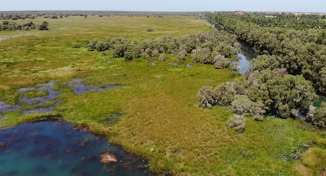 Cuộc chiến chống săn bắt, buôn bán động vật hoang dã: Từ góc nhìn đa dạng sinh học