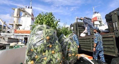 Gửi Tết ra huyện đảo Trường Sa