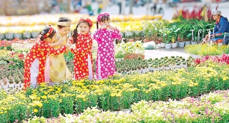 Tản mạn hoa tết