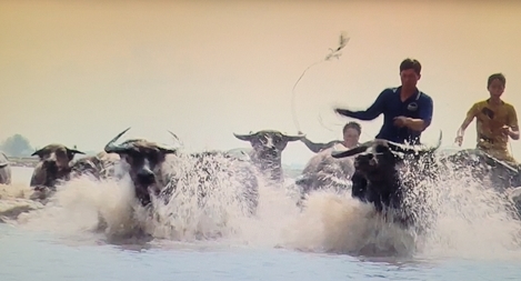 Mùa len trâu và mối tình đầu