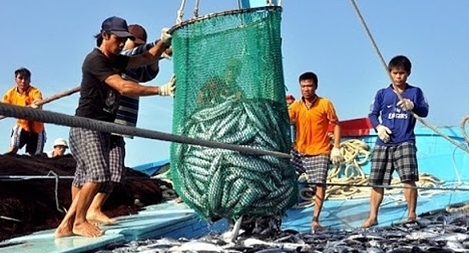 Nâng cao năng lực cho lao động di cư ngành đánh bắt và chế biến thủy sản ở Đông Nam Á