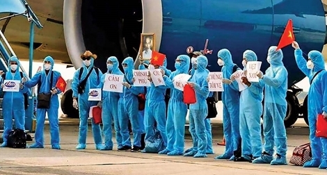 Sắp có 13 chuyến bay đưa người Việt hồi hương tránh dịch